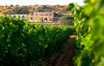 Le Fabriche Masseria in Vigna