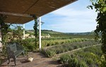 Planeta Estate La Foresteria