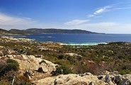 Asinara Island