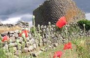 Nuraghe Losa