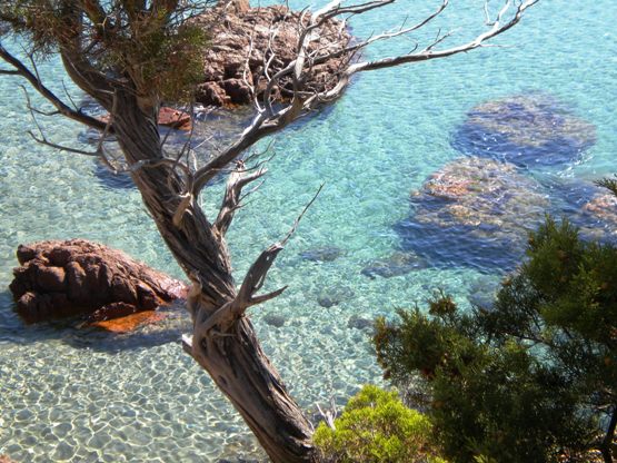 Plage Su Sirboni