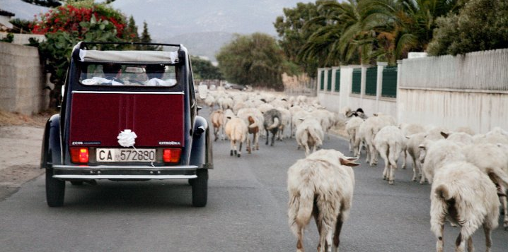 Weddings in Sardinia