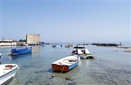 Brindisi