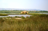 The Nature Oasis of Vendicari