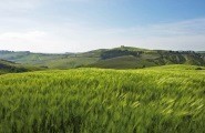 Maremma, Tuscany