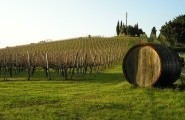 The hills of Chianti