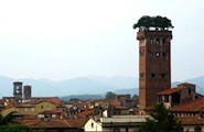 Torre Guinigi, Lucques