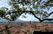 Torre Guinigi, Lucques