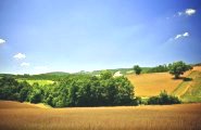 Parco Naturale della Maremma