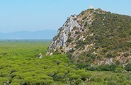 parco naturale della Maremma