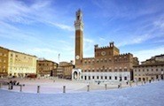 Piazza del Campo, Siena