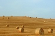 Val d'Orcia