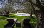 Masseria degli Ulivi Masseria degli Ulivi