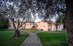 Masseria degli Ulivi Masseria degli Ulivi