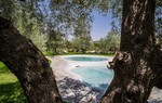 Masseria degli Ulivi Masseria degli Ulivi