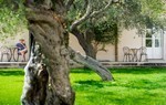 Masseria degli Ulivi Masseria degli Ulivi