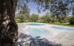 Masseria degli Ulivi Masseria degli Ulivi