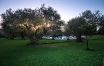 Masseria degli Ulivi Masseria degli Ulivi
