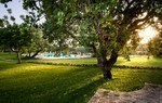 Masseria degli Ulivi Masseria degli Ulivi
