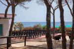 Club Hotel Marina Seada Club Hotel Marina Seada