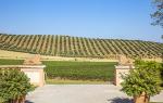 L Andana Tenuta La Badiola L Andana Tenuta La Badiola