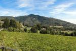 Il Falconiere Relais and Spa
