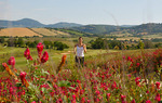 Terme di Saturnia Spa and Golf Resort