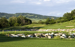 Terme di Saturnia Spa and Golf Resort
