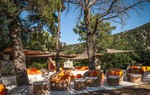 Hotel Su Gologone