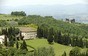 Villa Campestri Olive Oil Resort