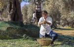 Baglio Occhipinti Baglio Occhipinti