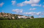 Baglio Sorìa Resort and Wine Experience Baglio Sorìa Resort and Wine Experience