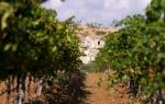 Baglio Sorìa Resort and Wine Experience Baglio Sorìa Resort and Wine Experience
