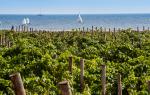 Baglio Sorìa Resort and Wine Experience Baglio Sorìa Resort and Wine Experience