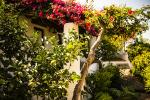 Hotel Signum Hotel Signum