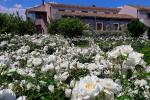 Ramo d'Aria Country Hotel Ramo d'Aria Country Hotel