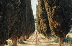 Villa di Piazzano - Historical Residence