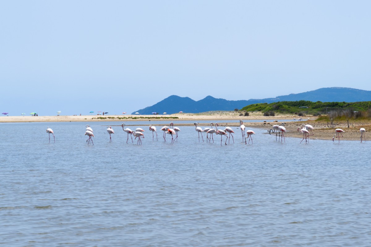 Valtur Sardegna Eos Costa Rei