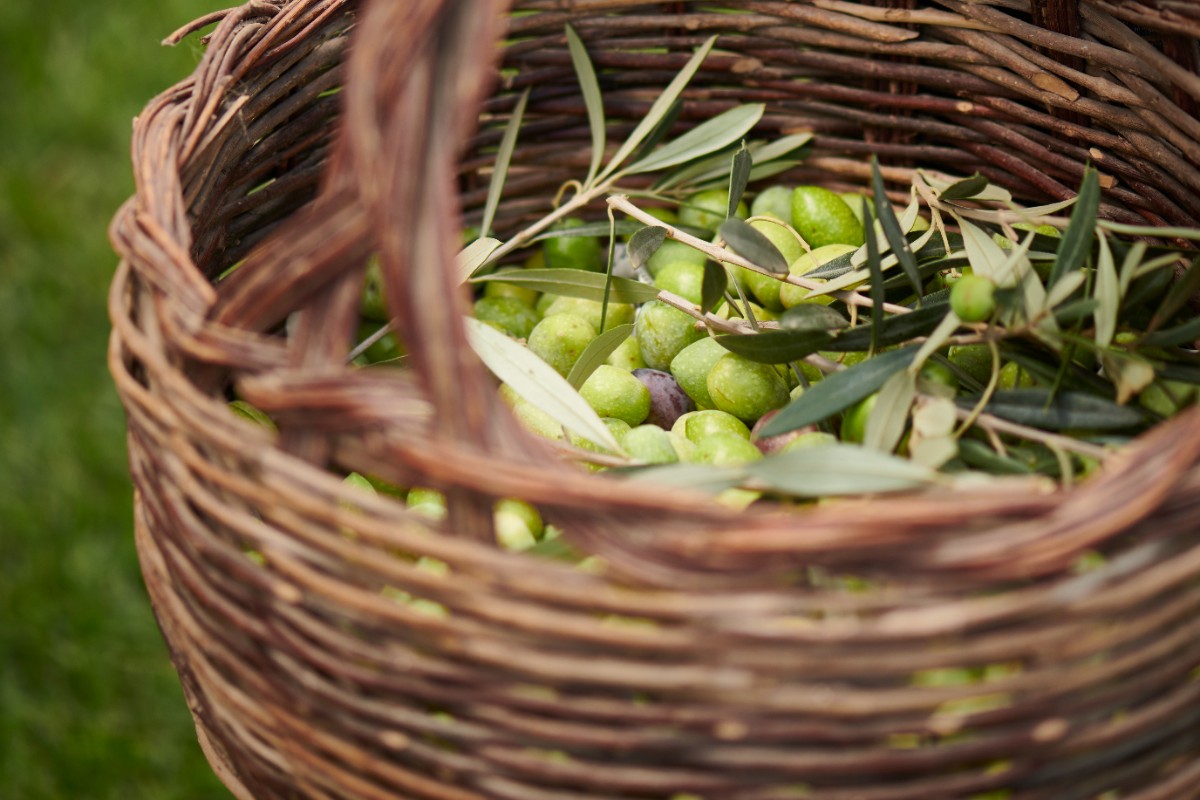 Cascioni Eco Retreat Cascioni Eco Retreat