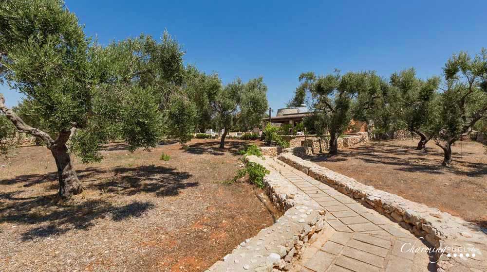 Villa Pajara Poetica
