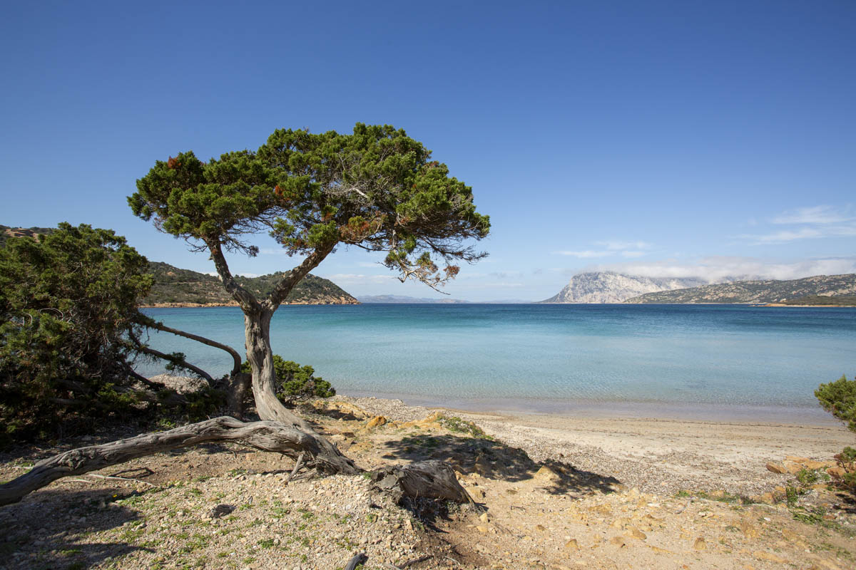 Residenze Gallura Residenze Gallura
