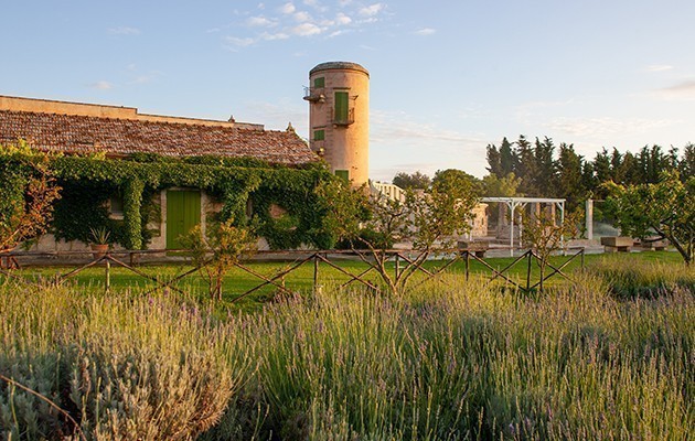 Naturalis Bio Resort