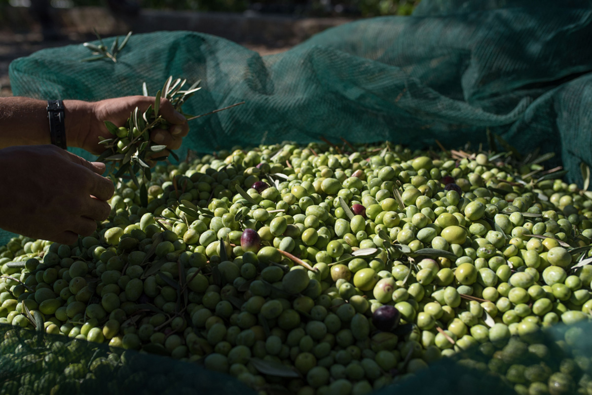 Baglio Oneto dei Principi di San Lorenzo - Luxury Wine Resort