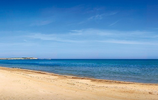 Is Arenas Resort 
