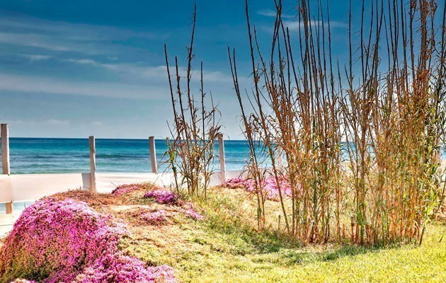 Canne Bianche Lifestyle and Hotel
