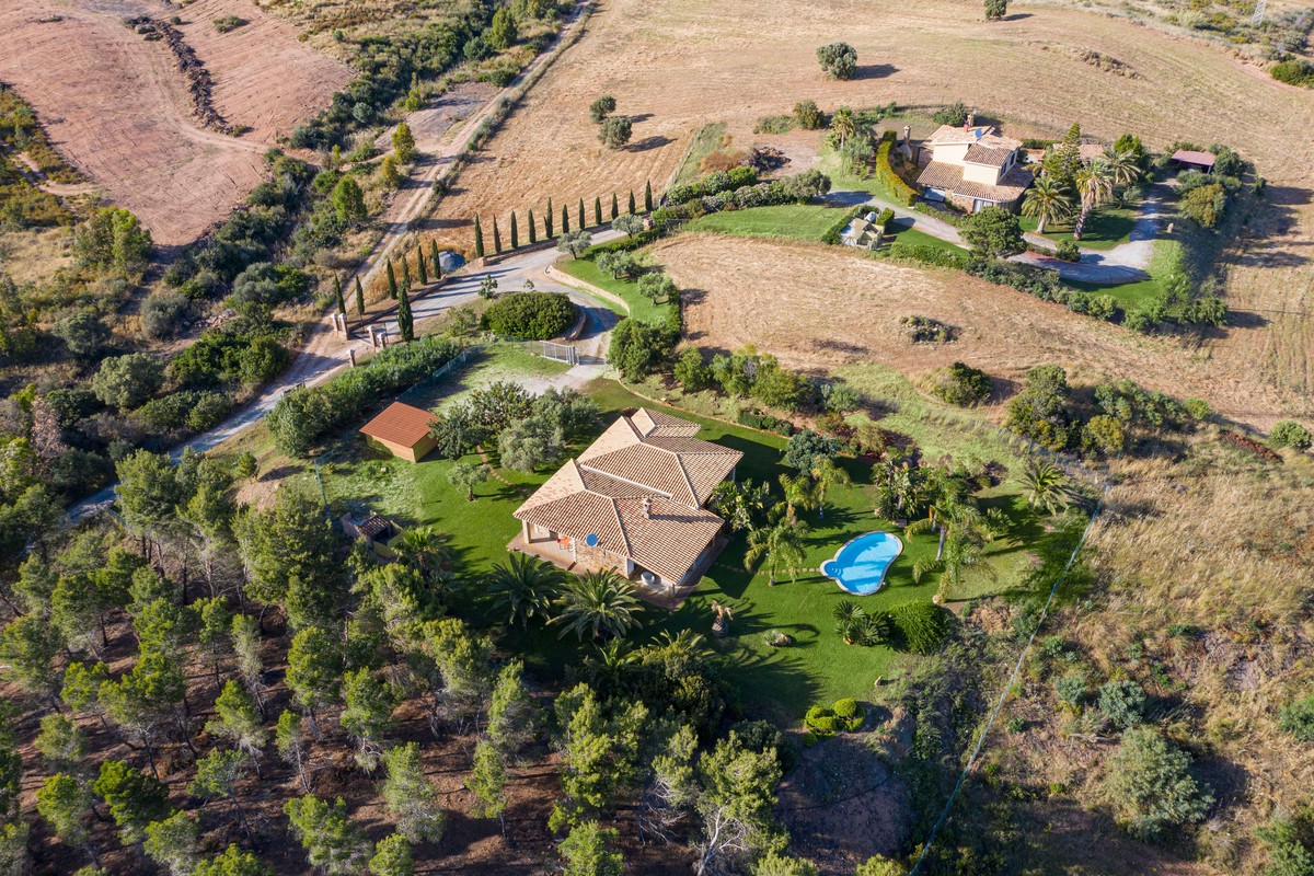 Villa Palmeto Villa Palmeto