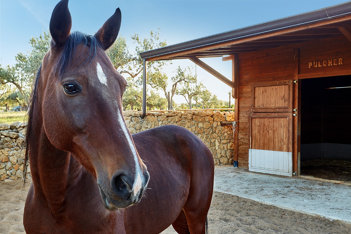 Villa Principe di Lumia