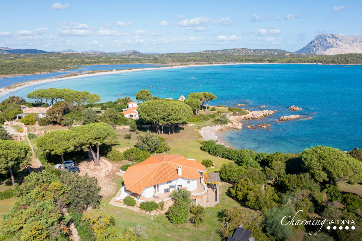 Villa Sofia