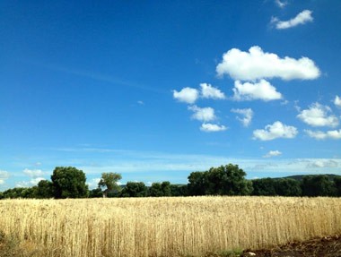 montalbano-di-fasano01.jpg