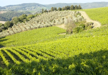 Hotel di lusso a Tavarnelle Val di Pesa: vacanze sulle colline di Firenze